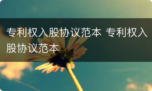 专利权入股协议范本 专利权入股协议范本