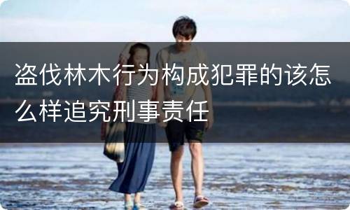 盗伐林木行为构成犯罪的该怎么样追究刑事责任
