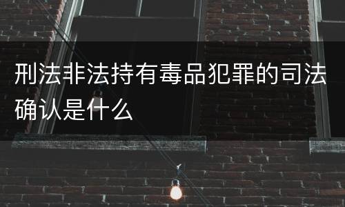 刑法非法持有毒品犯罪的司法确认是什么