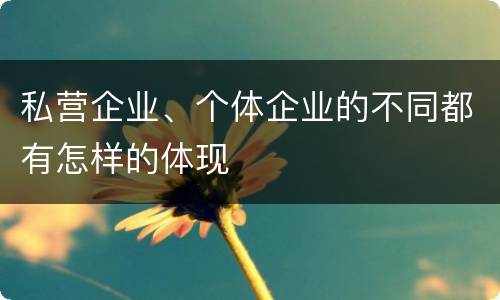 私营企业、个体企业的不同都有怎样的体现