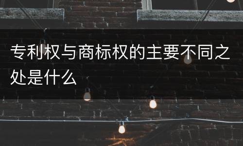专利权与商标权的主要不同之处是什么