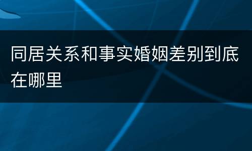 同居关系和事实婚姻差别到底在哪里