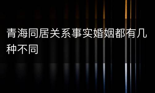 青海同居关系事实婚姻都有几种不同