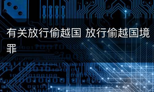 有关放行偷越国 放行偷越国境罪