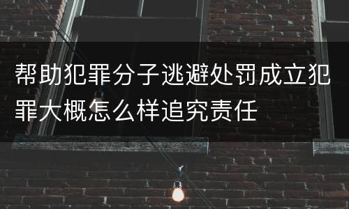 帮助犯罪分子逃避处罚成立犯罪大概怎么样追究责任