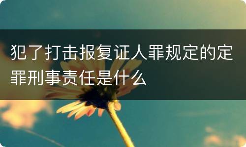 犯了打击报复证人罪规定的定罪刑事责任是什么