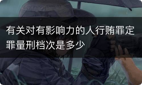 有关对有影响力的人行贿罪定罪量刑档次是多少