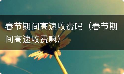 春节期间高速收费吗（春节期间高速收费嘛）