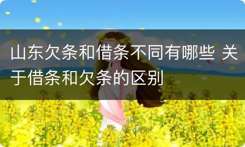 山东欠条和借条不同有哪些 关于借条和欠条的区别