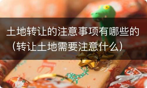 土地转让的注意事项有哪些的（转让土地需要注意什么）