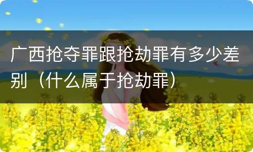广西抢夺罪跟抢劫罪有多少差别（什么属于抢劫罪）