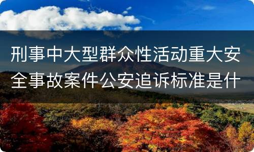 刑事中大型群众性活动重大安全事故案件公安追诉标准是什么