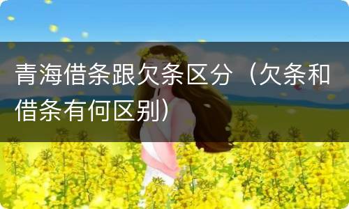青海借条跟欠条区分（欠条和借条有何区别）