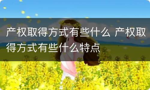 产权取得方式有些什么 产权取得方式有些什么特点