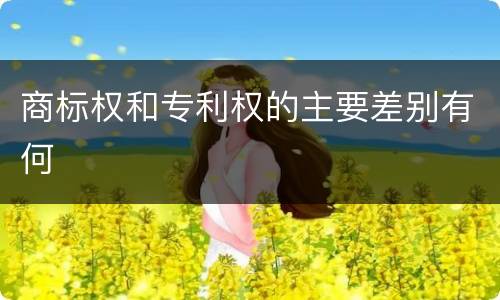 商标权和专利权的主要差别有何