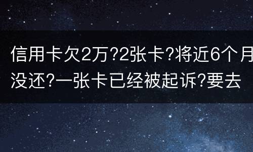 信用卡欠2万?2张卡?将近6个月没还?一张卡已经被起诉?要去公安局现在怎么办