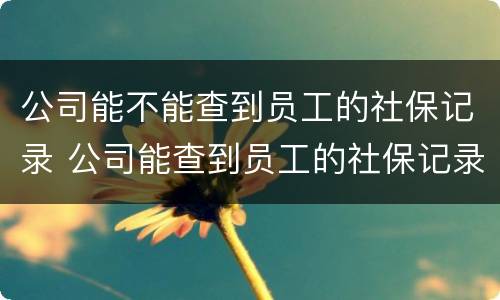 公司能不能查到员工的社保记录 公司能查到员工的社保记录吗