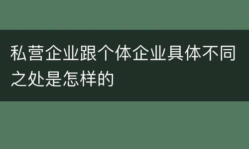 私营企业跟个体企业具体不同之处是怎样的