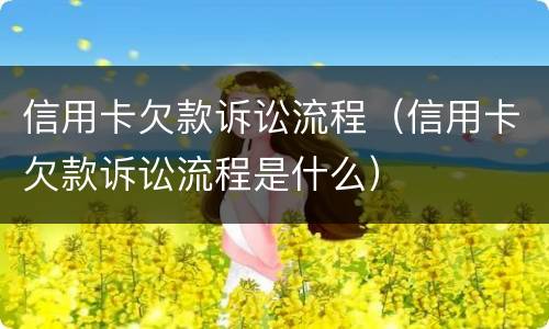 信用卡欠款诉讼流程（信用卡欠款诉讼流程是什么）