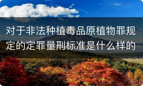 对于非法种植毒品原植物罪规定的定罪量刑标准是什么样的
