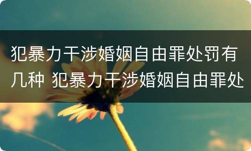 犯暴力干涉婚姻自由罪处罚有几种 犯暴力干涉婚姻自由罪处罚有几种情形