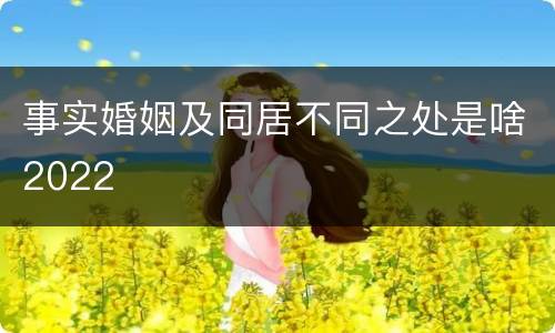 事实婚姻及同居不同之处是啥2022