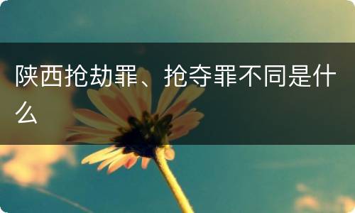 陕西抢劫罪、抢夺罪不同是什么