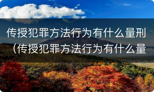 传授犯罪方法行为有什么量刑（传授犯罪方法行为有什么量刑标准）