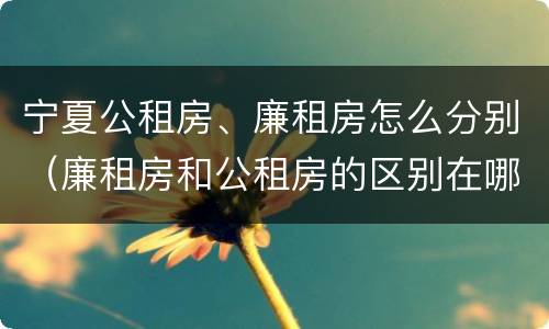 宁夏公租房、廉租房怎么分别（廉租房和公租房的区别在哪里）