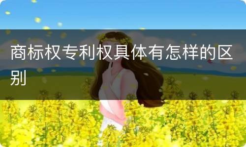商标权专利权具体有怎样的区别