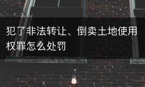 犯了非法转让、倒卖土地使用权罪怎么处罚