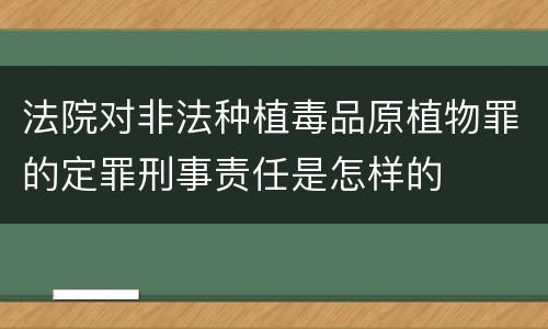 法院对非法种植毒品原植物罪的定罪刑事责任是怎样的