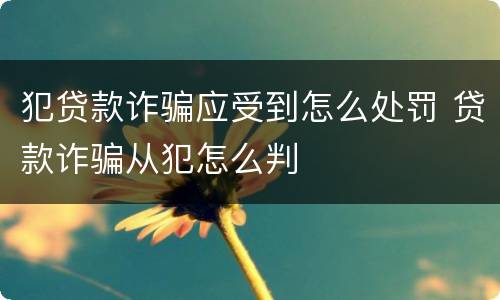犯贷款诈骗应受到怎么处罚 贷款诈骗从犯怎么判