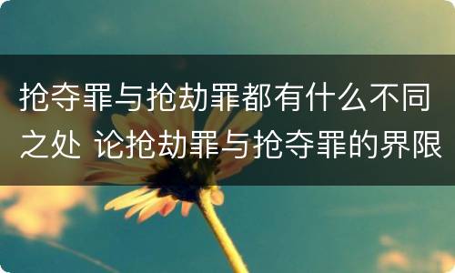 抢夺罪与抢劫罪都有什么不同之处 论抢劫罪与抢夺罪的界限