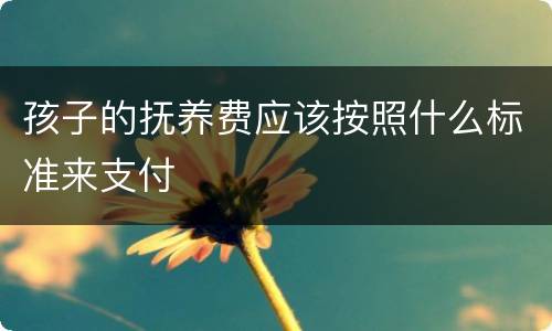 孩子的抚养费应该按照什么标准来支付