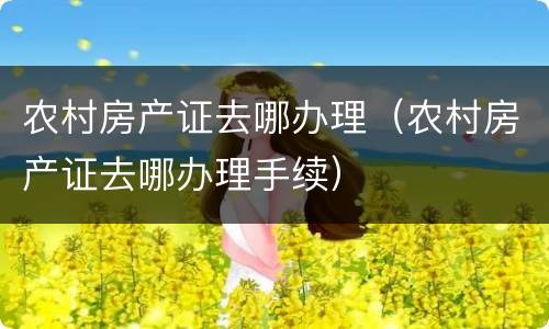 农村房产证去哪办理（农村房产证去哪办理手续）