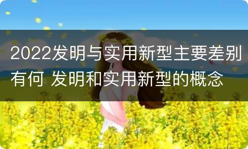2022发明与实用新型主要差别有何 发明和实用新型的概念