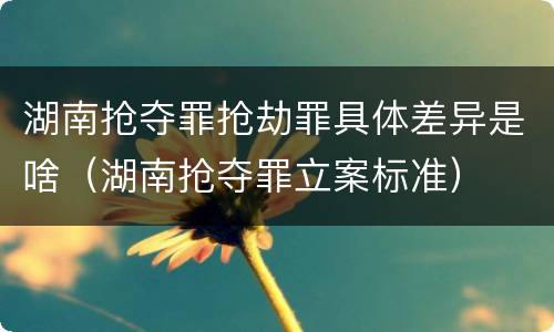 湖南抢夺罪抢劫罪具体差异是啥（湖南抢夺罪立案标准）