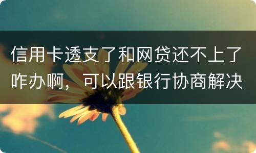信用卡透支了和网贷还不上了咋办啊，可以跟银行协商解决吗