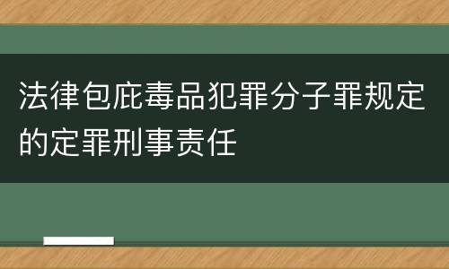 法律包庇毒品犯罪分子罪规定的定罪刑事责任