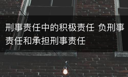 刑事责任中的积极责任 负刑事责任和承担刑事责任