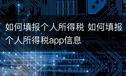如何填报个人所得税 如何填报个人所得税app信息