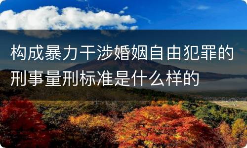 构成暴力干涉婚姻自由犯罪的刑事量刑标准是什么样的
