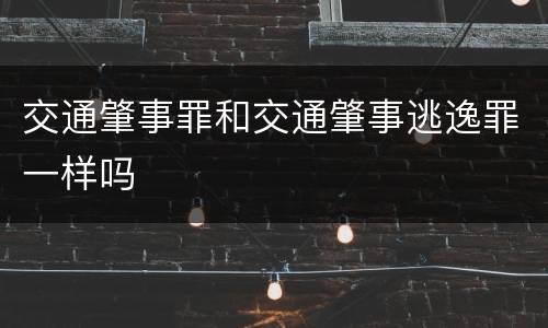 交通肇事罪和交通肇事逃逸罪一样吗