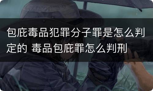 包庇毒品犯罪分子罪是怎么判定的 毒品包庇罪怎么判刑