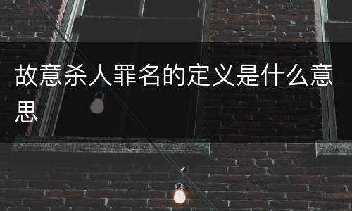 故意杀人罪名的定义是什么意思