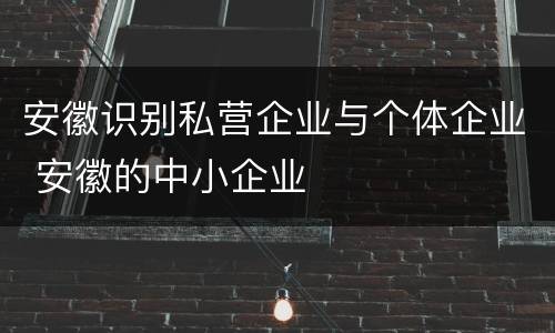 安徽识别私营企业与个体企业 安徽的中小企业