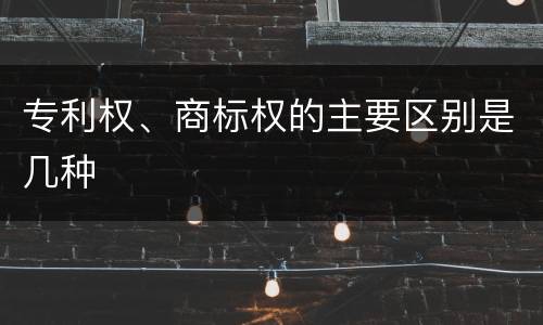 专利权、商标权的主要区别是几种