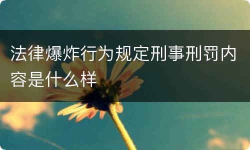 法律爆炸行为规定刑事刑罚内容是什么样