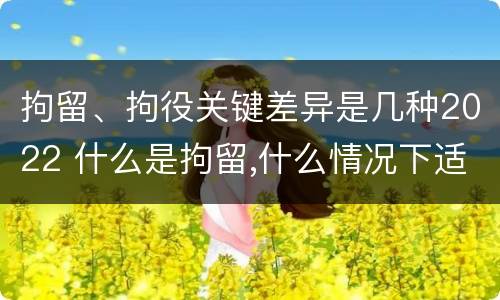 拘留、拘役关键差异是几种2022 什么是拘留,什么情况下适用拘留